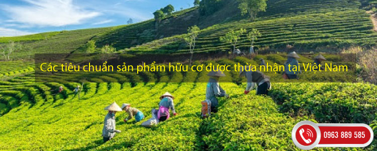 Các tiêu chuẩn sản phẩm hữu cơ được thừa nhận tại Việt Nam