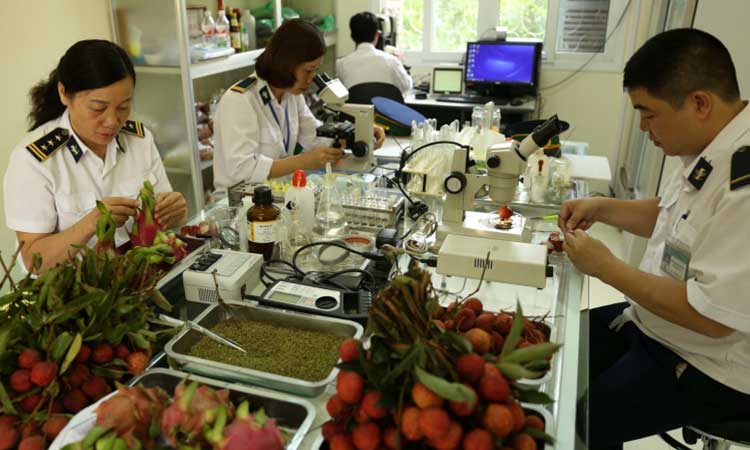 Quy chuẩn QCVN 01-192: 2020/BNNPTNT yêu cầu kiểm dịch thực vật nhập khẩu đối với vật thể thuộc diện kiểm dịch thực vật nhập khẩu vào Việt Nam
