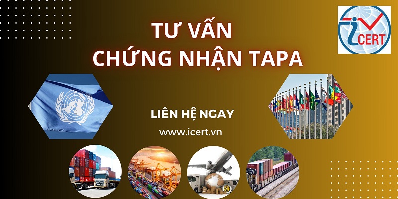 Tư vấn chứng nhận tapa - an ninh hàng hóa mới nhất 2024 | ICERT