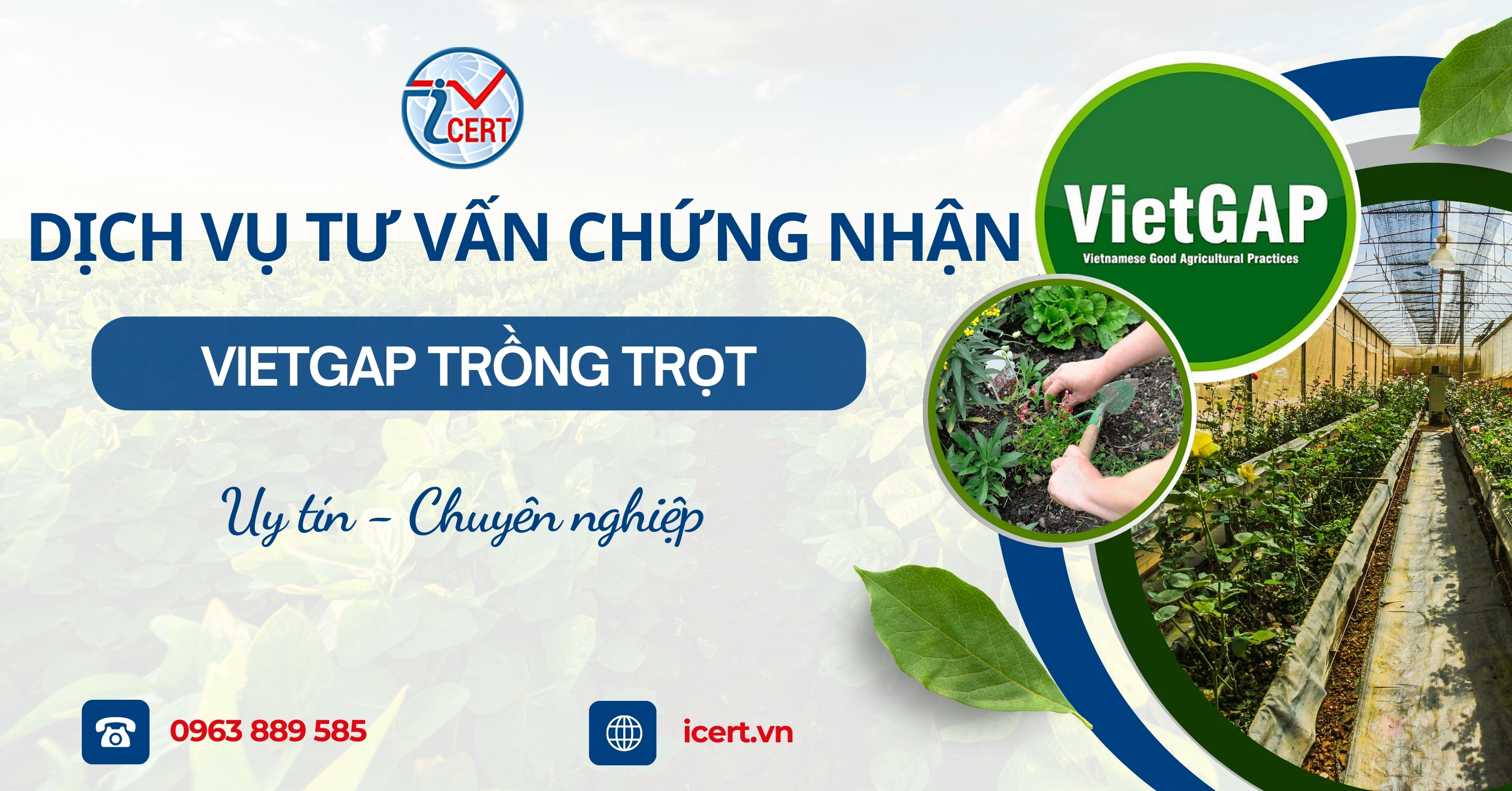 Dịch vụ tư vấn chứng nhận VietGAP trồng trọt của ICERT | Uy tín - Chuyên nghiệp