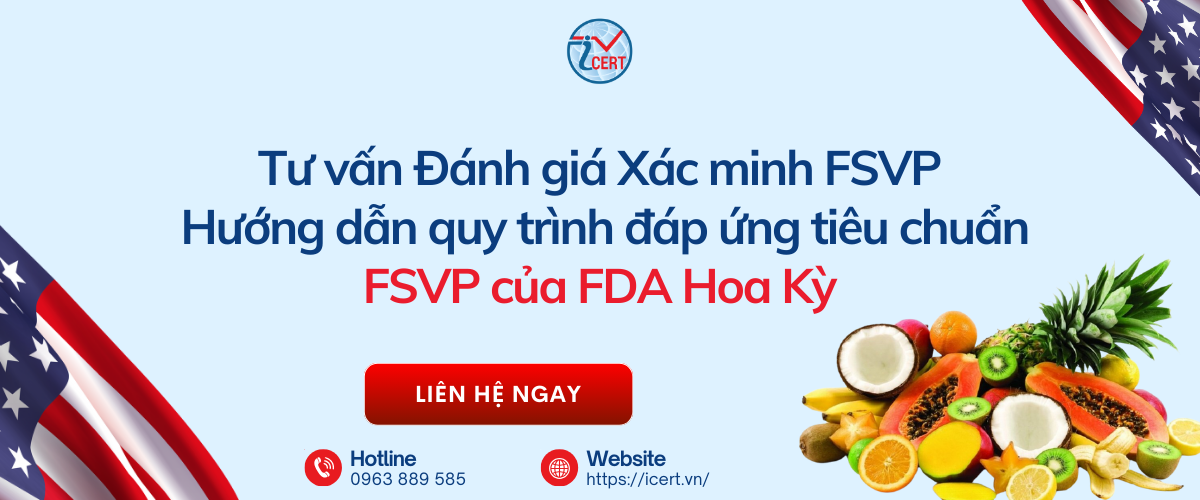 dich vu fsvp