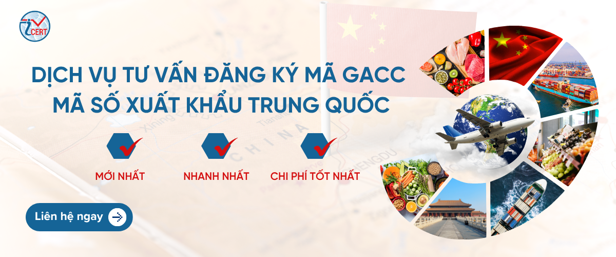 anh bia chinh tu van gacc