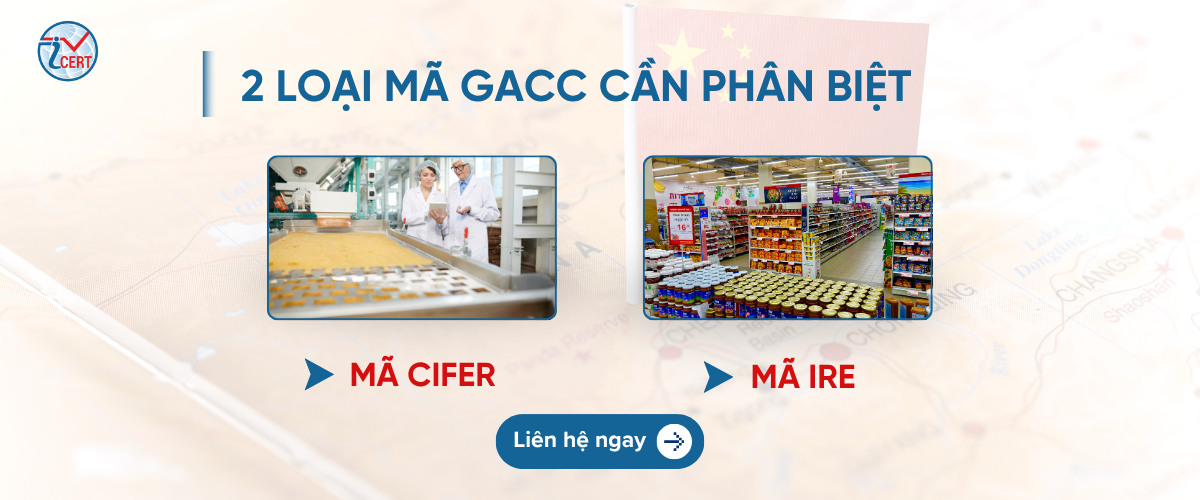 2 loai ma gacc