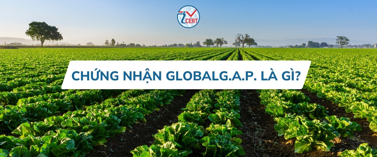 chung nhan globalgap la gi
