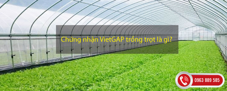 Chứng nhận VietGAP trồng trọt là gì?