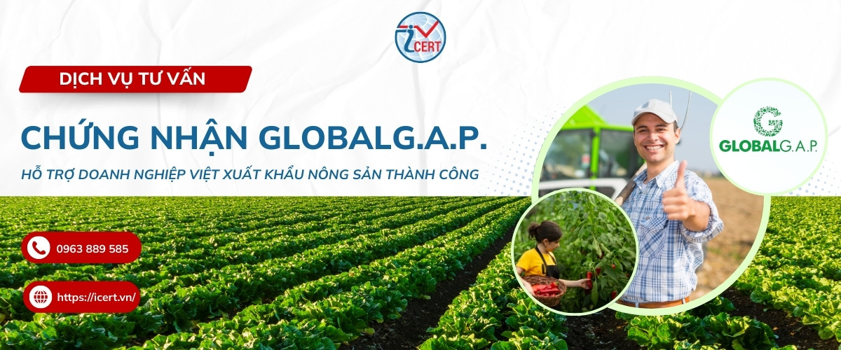 dich vu chung nhan globalgap tai ICERT