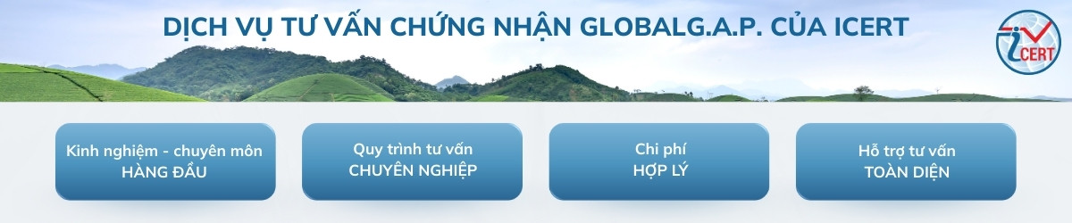 dich vu tu van chung nhan cua icert