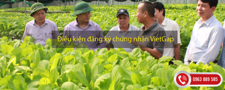 Điều kiện đăng ký chứng nhận VietGap trồng trọt