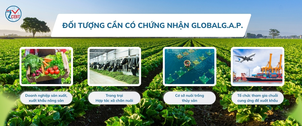 doi tuong can dat chung nhan globalgap