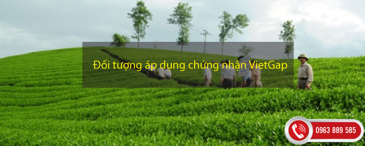 Đối tượng áp dụng chứng nhận VietGap trồng trọt