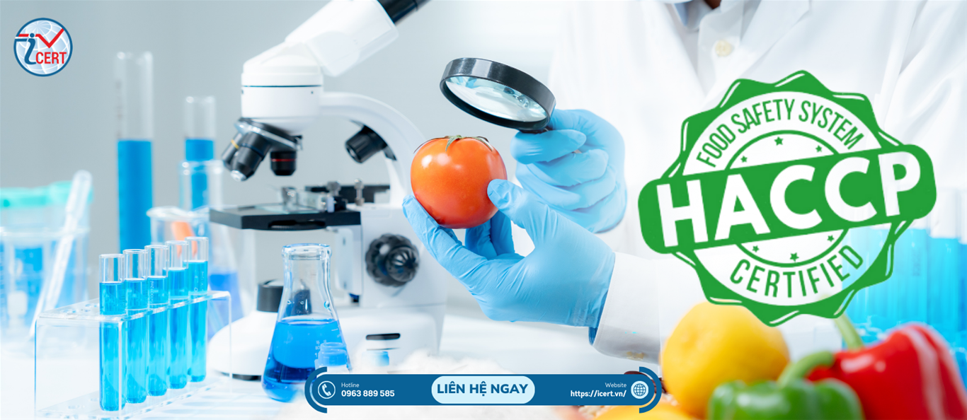 haccp stock