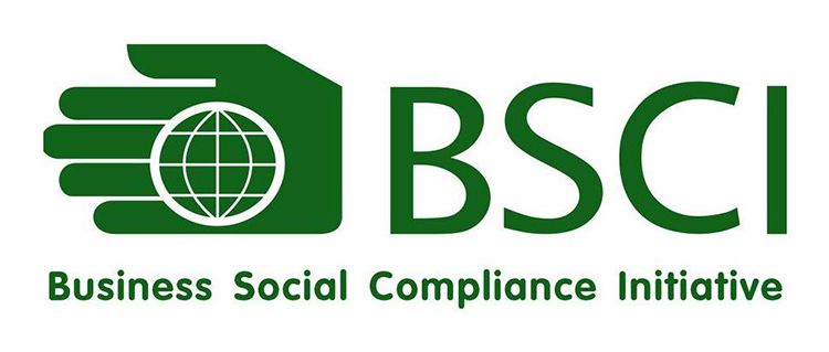 Dịch vụ Tư vấn BSCI - Trách nhiệm Xã hội trong Kinh doanh