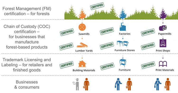 Chuỗi hành trình sản phẩm rừng FSC-CoC