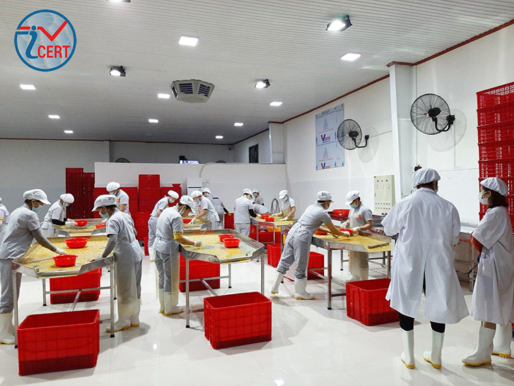 ICERT GROUP tư vấn và đào tạo về an toàn thực phẩm theo tiêu chuẩn HACCP, BRC cho Công ty Chanh Vuông BH.