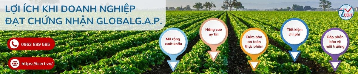 loi ich khi doanh nghiep dat chung nhan globalgap