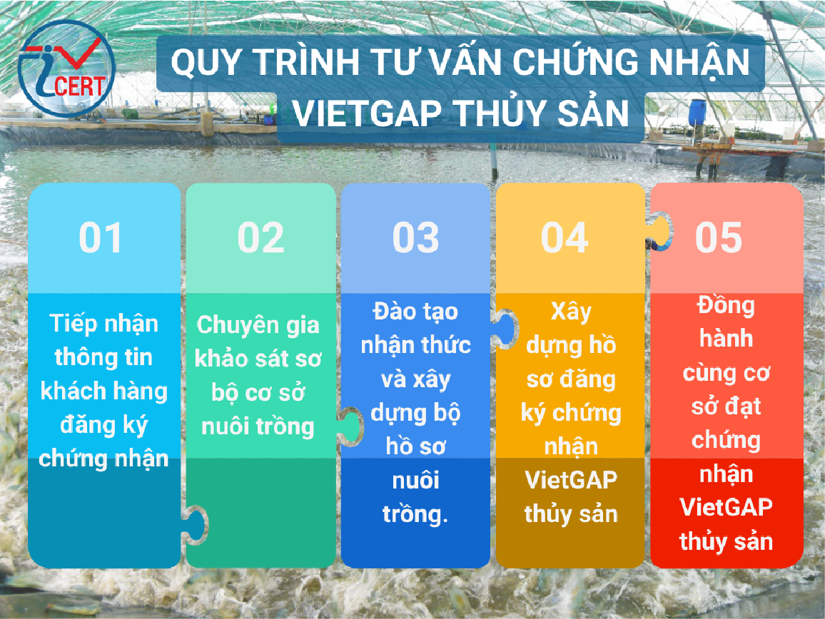 Quy trình đăng ký tư vấn chứng nhận VietGAP thủy sản tại ICERT